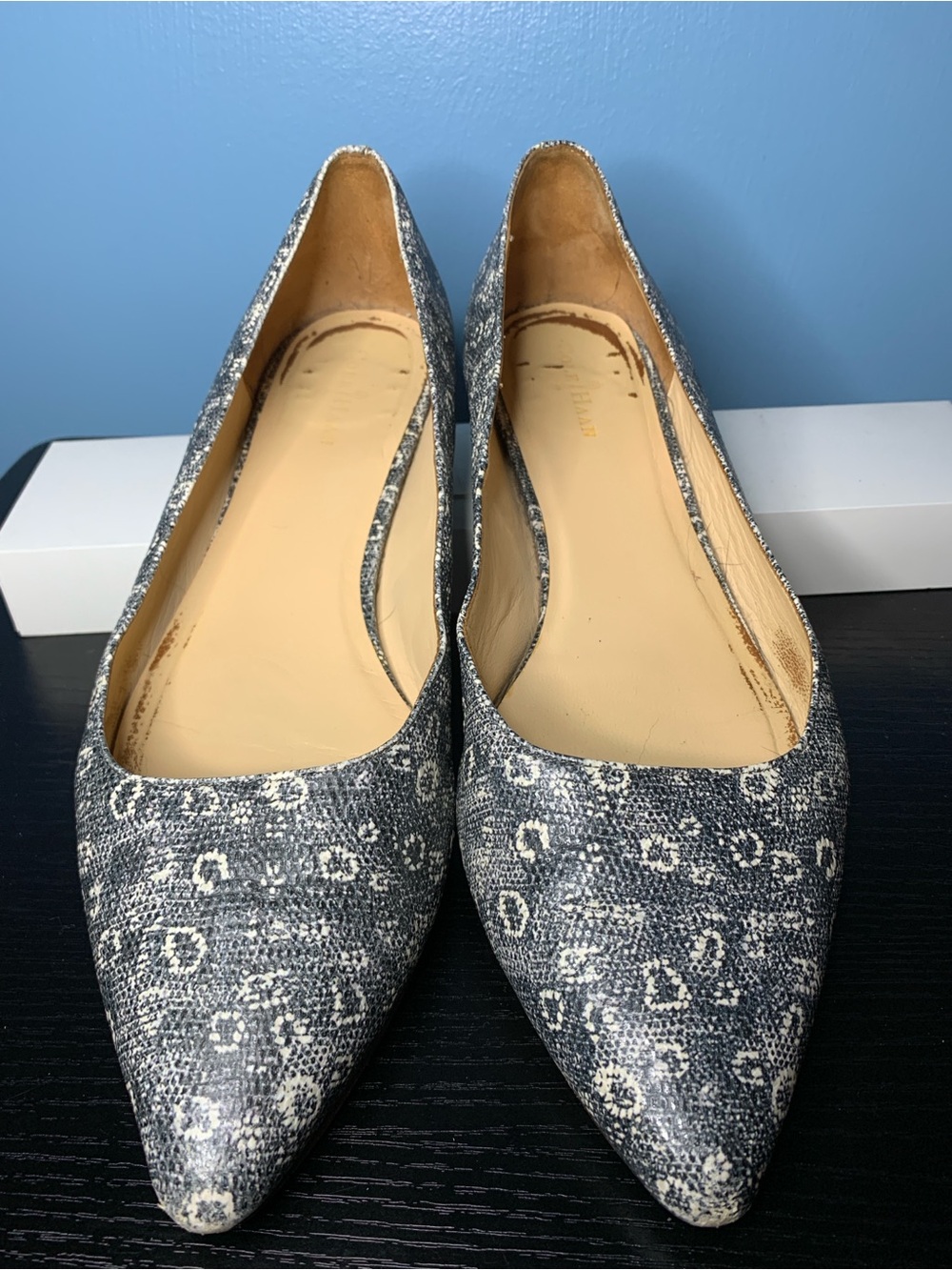 Cole Haan Vintage Pointed Toe Flats in Navy and White Pattern